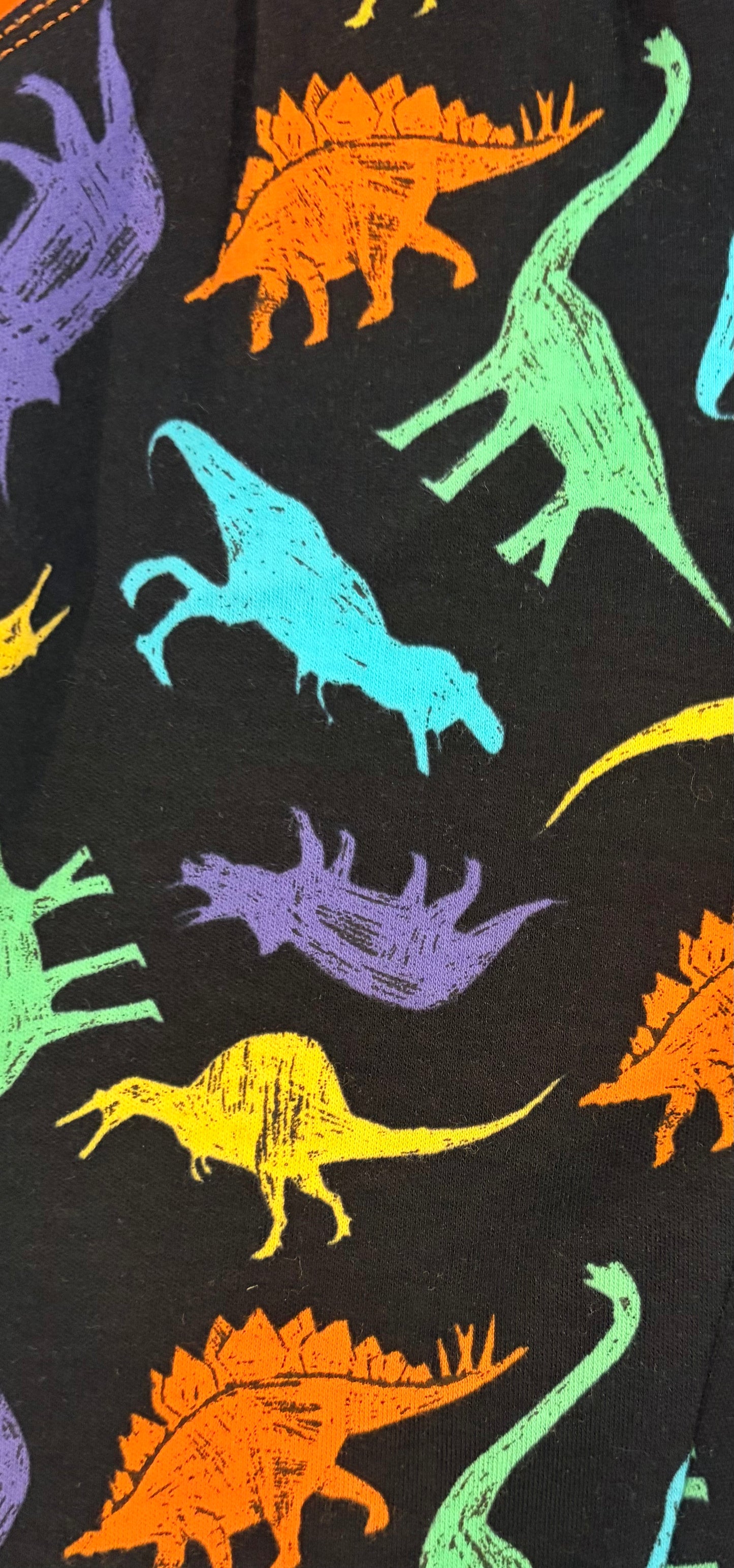 Joggers-Dinosaur